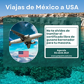 Cerfiticado gusano barrenador/ Worm Repellent Certificate